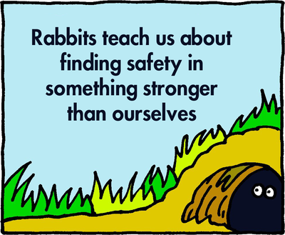Rabbits Teach