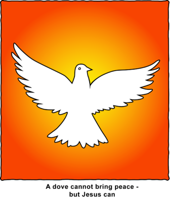 Orange Sky Dove