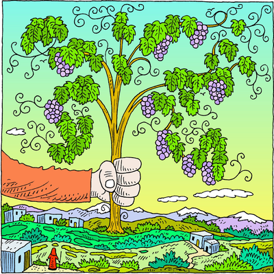 Plant Grapes