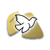 White dove over gold design