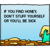 If you find honey, don't stuff yourself or you'll be sick