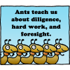 Ants teach us about diligence, hard work, and foresight