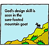 God's design skill is seen in the sure-footed mountain goat