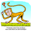 If humans came from monkeys, how come there are still monkeys?