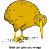 This is a clip art image of a kiwi, which is a flightless bird native to New Zealand. Below are the words, &quot;God can give you wings.&quot;