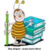 Bee diligent - study God's Word