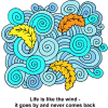 Life is like the wind - it goes by and never comes back