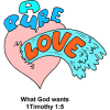 A pure love is what God wants. 1 Timothy 1:5