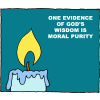 One evidence of God's wisdom is moral purity