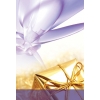 This is an image of  a purple silky flower with a gift in shiny gold wrap. Beautiful for a church bulletin!