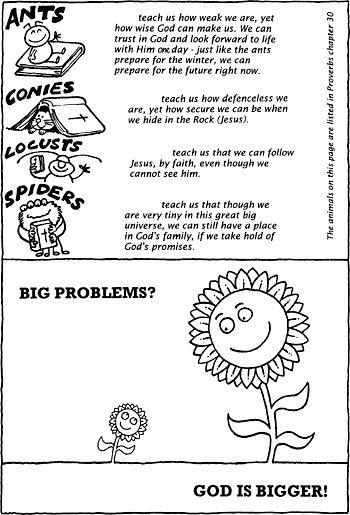 Sunday School Activity Sheet: Four Wise Creatures ( 2 of 2 )