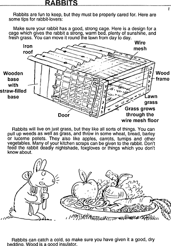Sunday School Activity Sheet: Rabbits ( 1 of 2 )