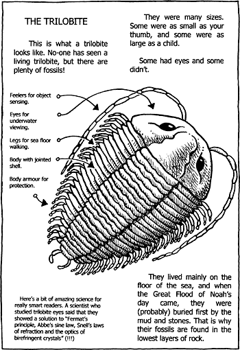 Sunday School Activity Sheet: The Trilobites