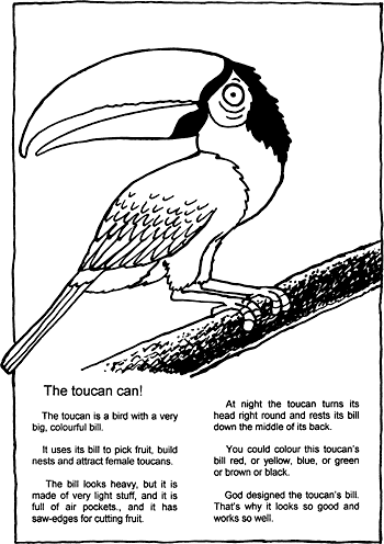 Sunday School Activity Sheet: The Toucan Can!