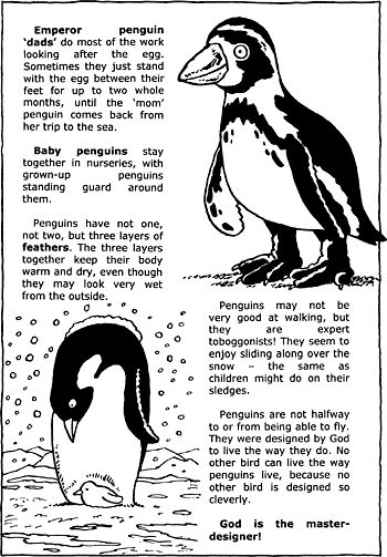 Sunday School Activity Sheet: Penguins ( 2 of 2 )