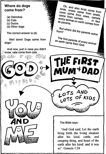 Sunday School Activity Sheet: Where do We Come From?