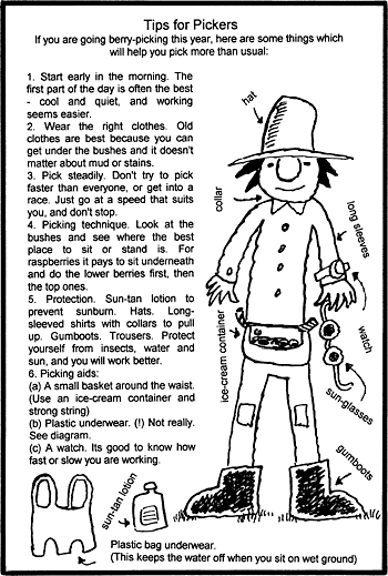 Sunday School Activity Sheet: Tips for Pickers