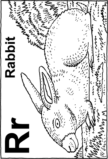 Sunday School Activity Sheet: R - Rabbit