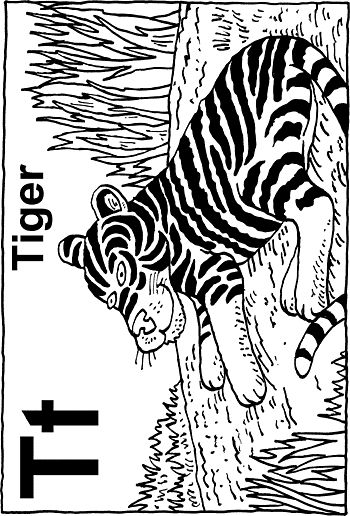 Sunday School Activity Sheet: T - Tiger
