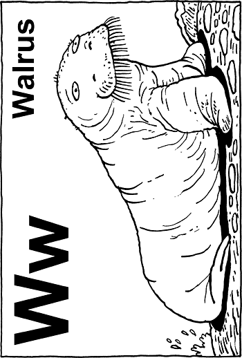 Sunday School Activity Sheet: W - Walrus