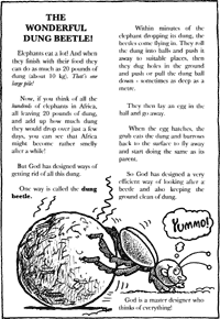 Print-Ready Handout: The Wonderful Dung Beetle