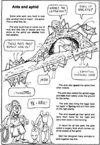 Print-Ready Handout: Ants and aphid
