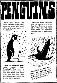 Print-Ready Handout: Penguins ( 1 of 2 )