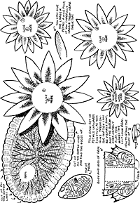 Print-Ready Handout: Flowers