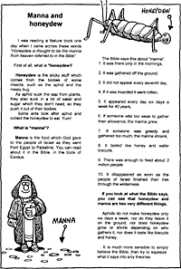 Print-Ready Handout: Manna and Honeydew
