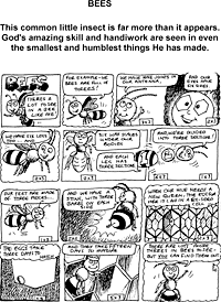 Print-Ready Handout: Bees