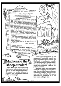 Print-Ready Handout: Mackenzie the sheep-stealer!