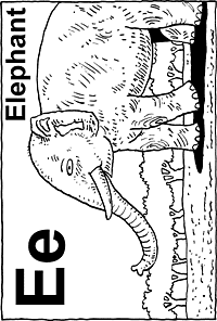 Print-Ready Handout: E - Elephant