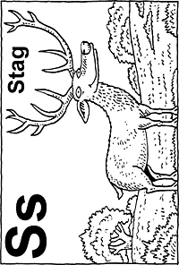 Print-Ready Handout: S - Stag