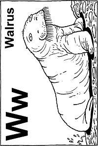 Print-Ready Handout: W - Walrus