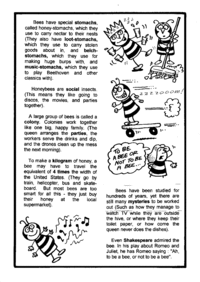 Print-Ready Handout: The Amazing Bee ( 2 of 2 )