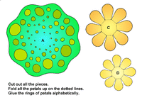 Print-Ready Handout: Flower - color ( 2 of 2 )